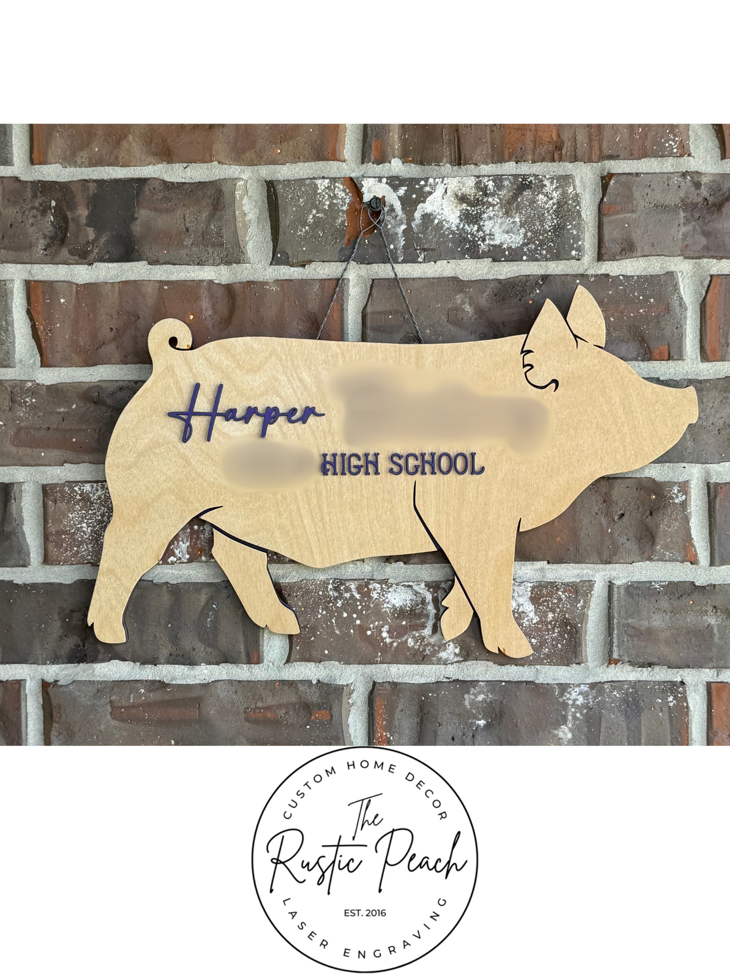 4H or FFA Livestock Project Stall Sign